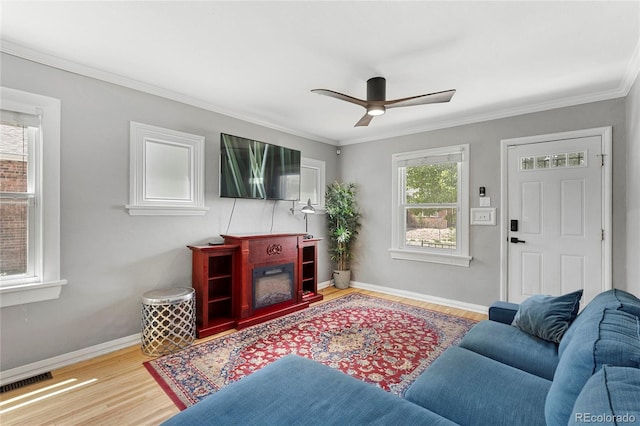 living room featuring ceiling fan, wood-type flooring, crown molding, and a wealth of natural light