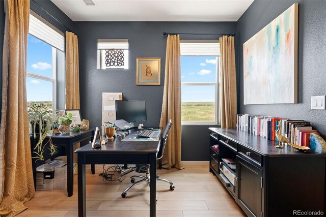 15020 Cast Pebble Cir, Parker, CO 80134 - office featuring light wood-type flooring, a textured wall, and baseboards