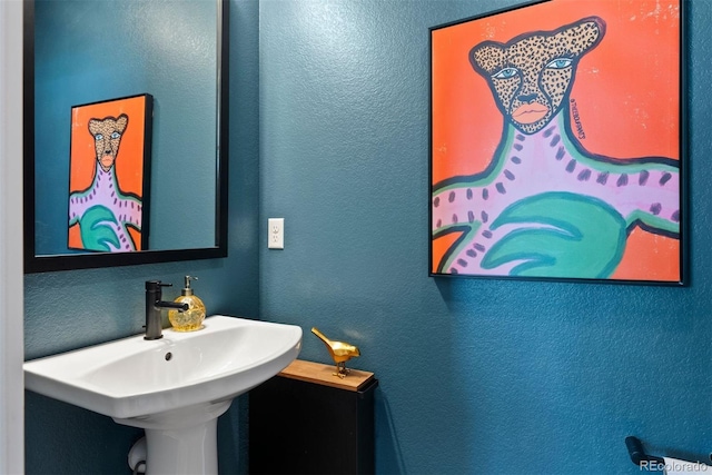 15020 Cast Pebble Cir, Parker, CO 80134 - bathroom with a sink and a textured wall