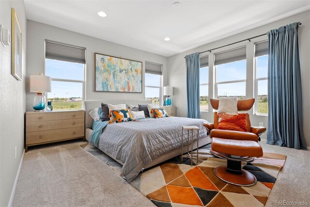 15020 Cast Pebble Cir, Parker, CO 80134 - carpeted bedroom featuring recessed lighting and baseboards