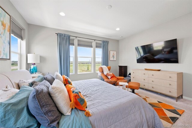 15020 Cast Pebble Cir, Parker, CO 80134 - bedroom with light colored carpet, recessed lighting, and baseboards