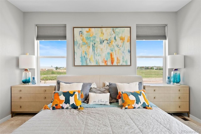 15020 Cast Pebble Cir, Parker, CO 80134 - carpeted bedroom featuring baseboards