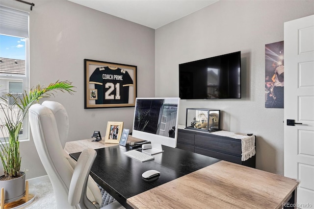 15020 Cast Pebble Cir, Parker, CO 80134 - view of office
