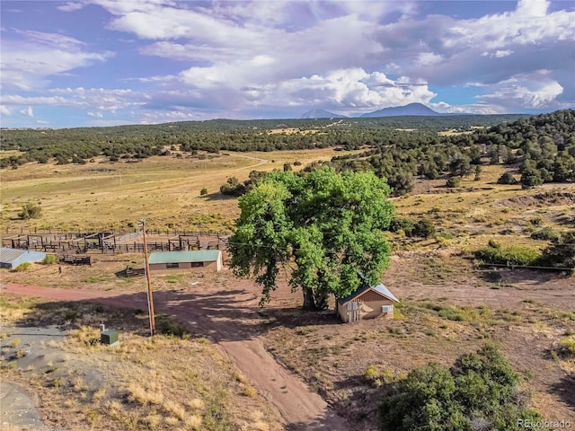7727 County Road 521, Walsenburg, CO 81089 - mountain view with a rural view
