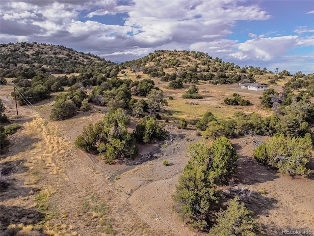 7727 County Road 521, Walsenburg, CO 81089 - mountain view