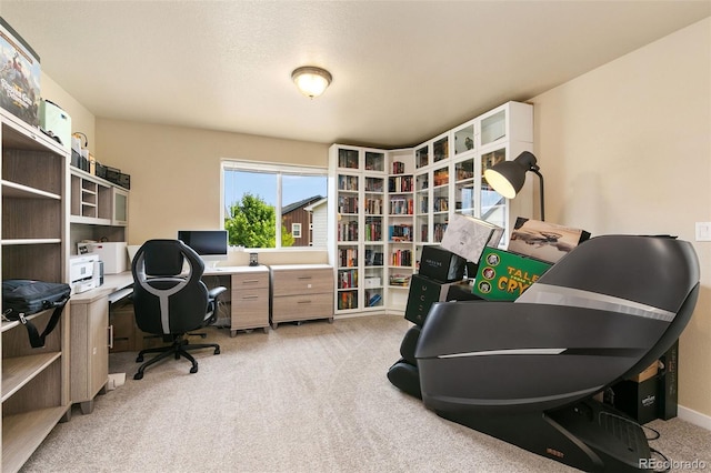 3001 Nebula Ct, Loveland, CO 80537 - photo 14