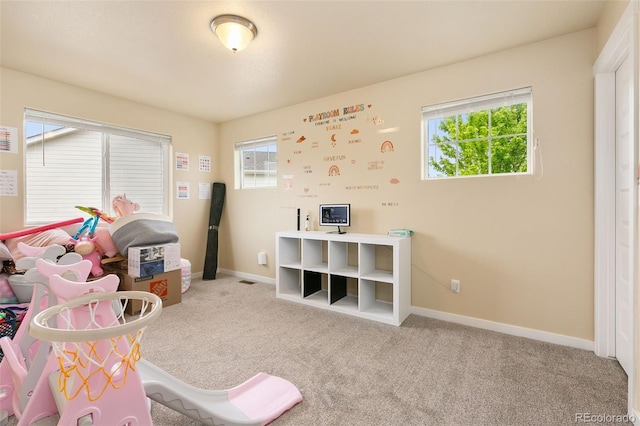 3001 Nebula Ct, Loveland, CO 80537 - photo 18
