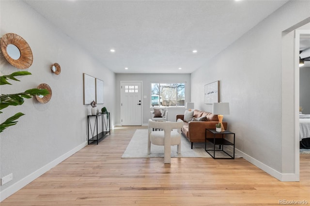 living room with light hardwood / wood-style flooring