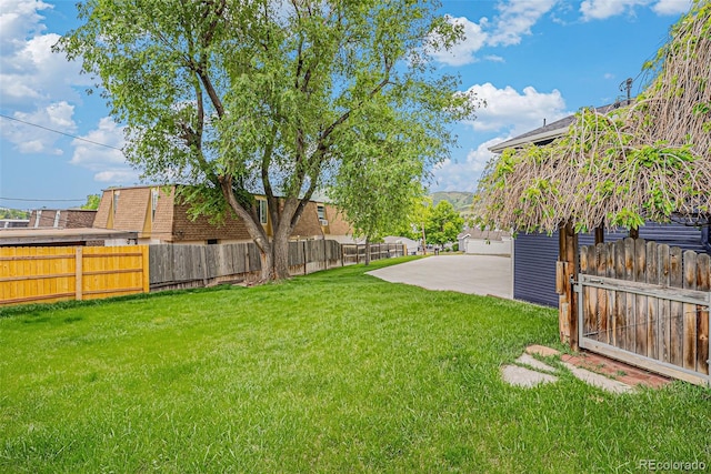 401 N Columbine St, Golden, CO 80403 - view of yard featuring a patio area
