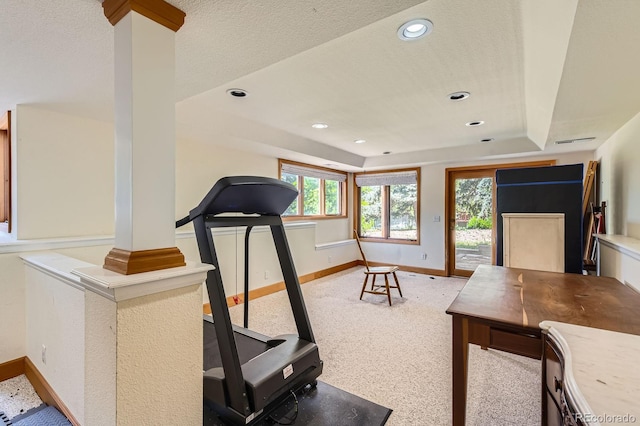 6663 S Prescott Way, Littleton, CO 80120 - workout area featuring baseboards, a tray ceiling, light colored carpet, and recessed lighting
