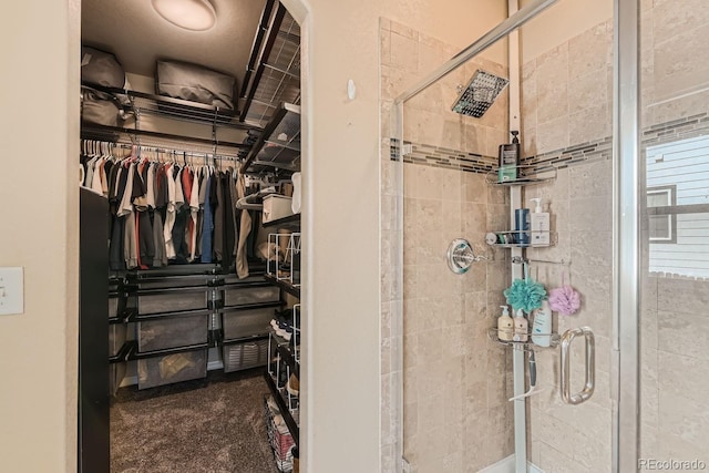 bathroom featuring a shower with door