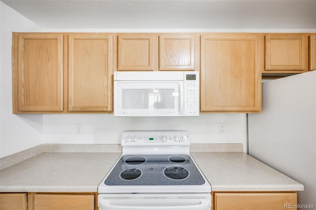 5694 N Gibralter Way Unit 203, Aurora, CO 80019 - photo 13