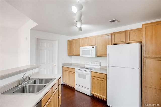 5694 N Gibralter Way Unit 203, Aurora, CO 80019 - photo 15