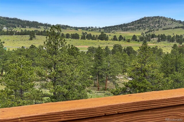 241 Deadhorse Mountain Ct, Livermore, CO 80536 - photo 40