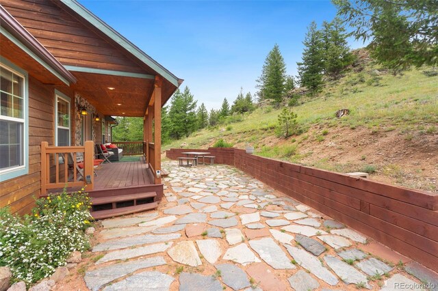 241 Deadhorse Mountain Ct, Livermore, CO 80536 - photo 2