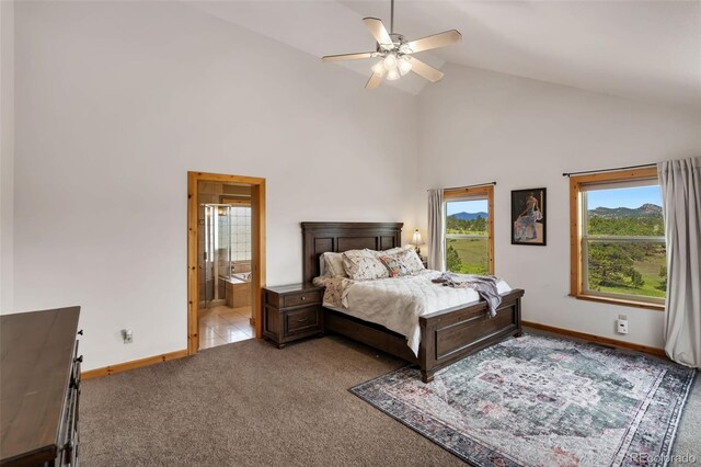 241 Deadhorse Mountain Ct, Livermore, CO 80536 - photo 13