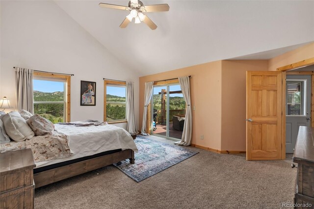 241 Deadhorse Mountain Ct, Livermore, CO 80536 - photo 14
