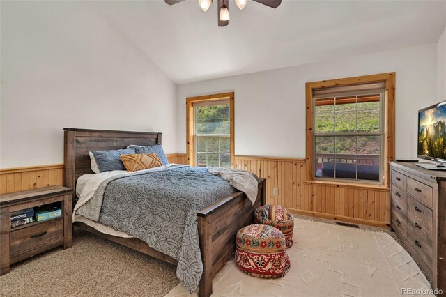 241 Deadhorse Mountain Ct, Livermore, CO 80536 - photo 15