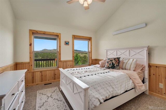 241 Deadhorse Mountain Ct, Livermore, CO 80536 - photo 17