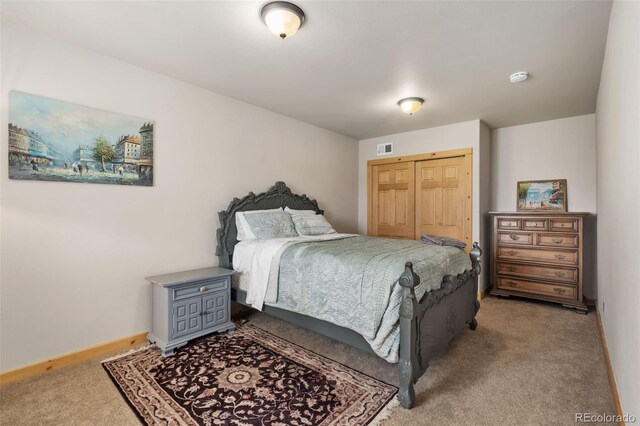 241 Deadhorse Mountain Ct, Livermore, CO 80536 - photo 19