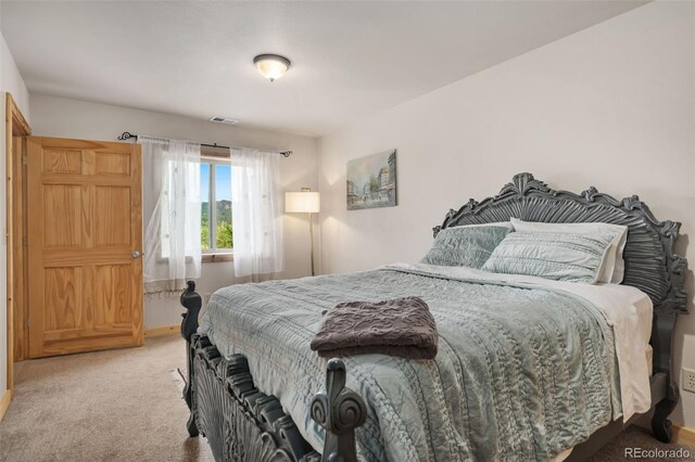 241 Deadhorse Mountain Ct, Livermore, CO 80536 - photo 20