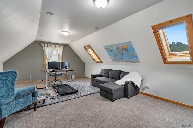 241 Deadhorse Mountain Ct, Livermore, CO 80536 - photo 26
