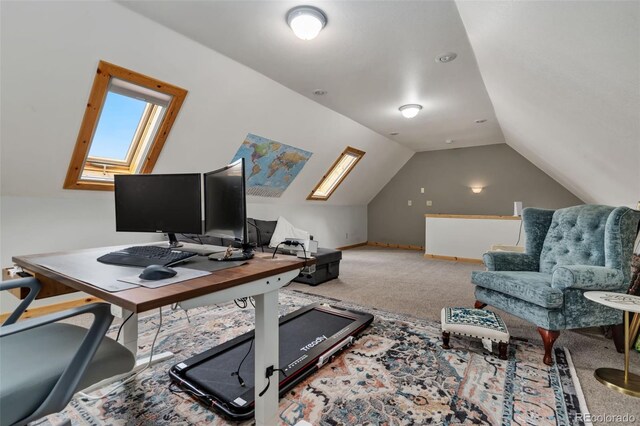241 Deadhorse Mountain Ct, Livermore, CO 80536 - photo 27