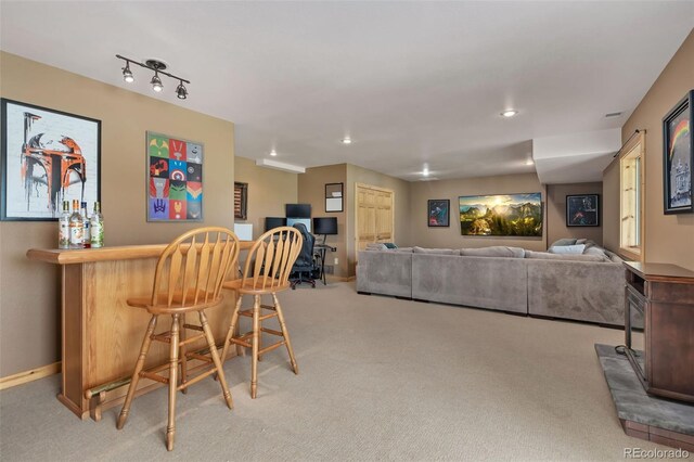 241 Deadhorse Mountain Ct, Livermore, CO 80536 - photo 28