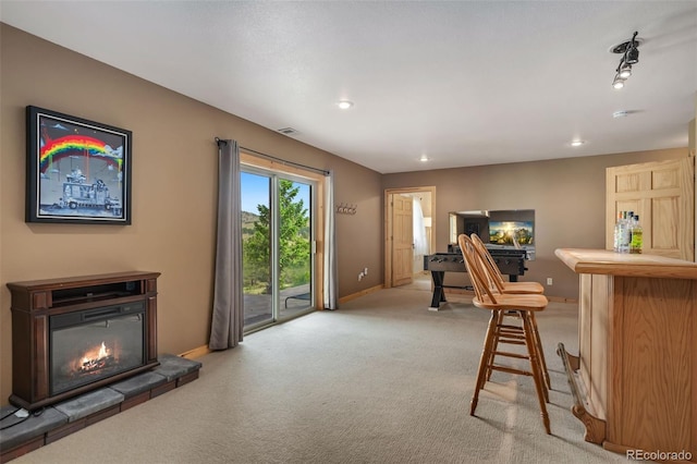 241 Deadhorse Mountain Ct, Livermore, CO 80536 - photo 29
