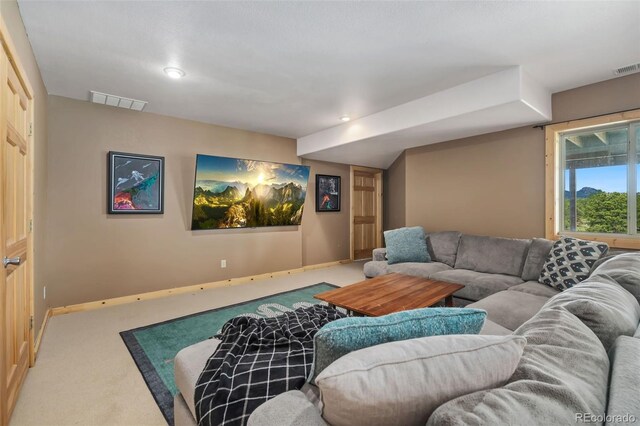 241 Deadhorse Mountain Ct, Livermore, CO 80536 - photo 30