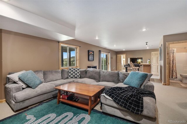 241 Deadhorse Mountain Ct, Livermore, CO 80536 - photo 31