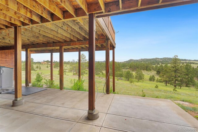 241 Deadhorse Mountain Ct, Livermore, CO 80536 - photo 32