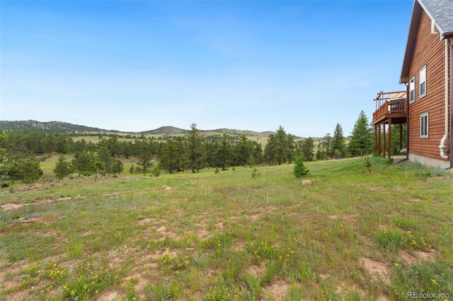 241 Deadhorse Mountain Ct, Livermore, CO 80536 - photo 34