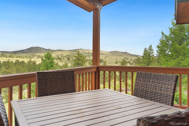 241 Deadhorse Mountain Ct, Livermore, CO 80536 - photo 35