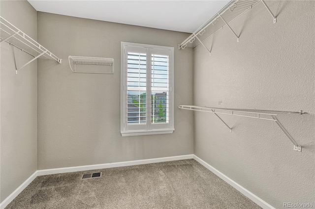 7673 Bandit Dr, Castle Rock, CO 80108 - photo 26