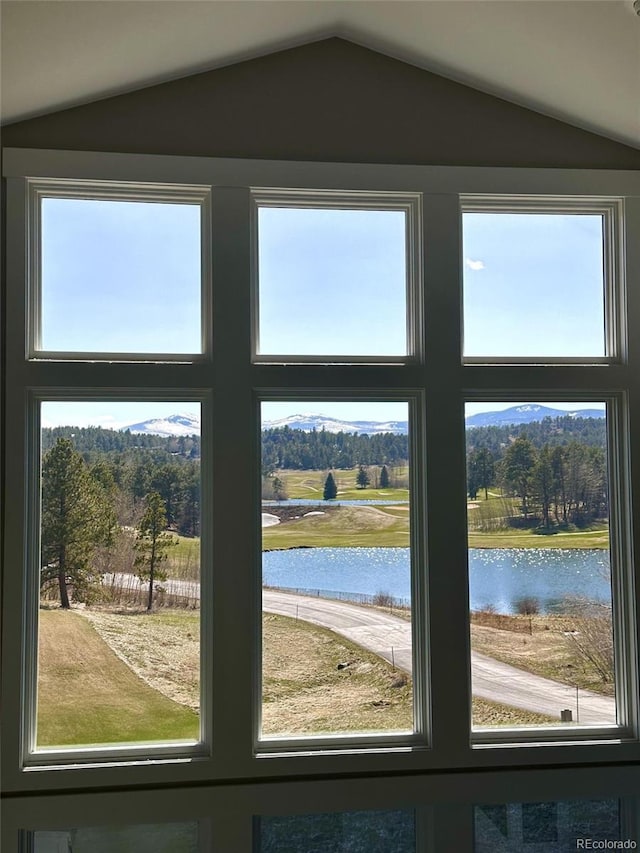 entryway featuring a water view and lofted ceiling