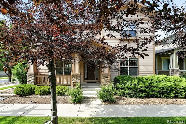 10368 Bluffmont Dr, Lone Tree, CO 80124 - obstructed view of property with stone siding and a porch