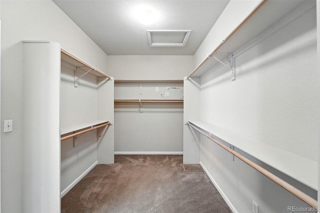 10368 Bluffmont Dr, Lone Tree, CO 80124 - spacious closet with carpet and attic access