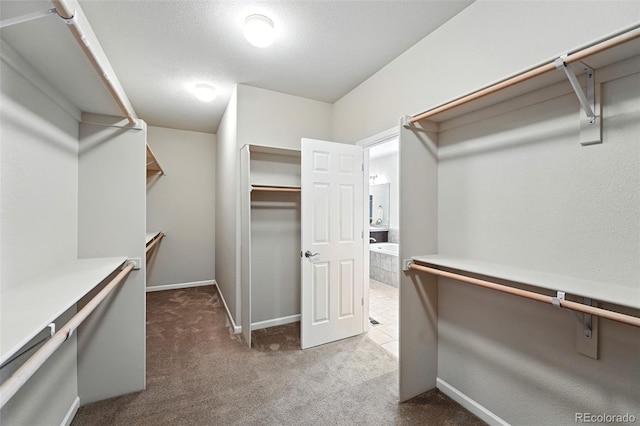 10368 Bluffmont Dr, Lone Tree, CO 80124 - walk in closet featuring carpet flooring