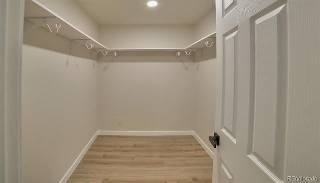 walk in closet featuring light wood-type flooring