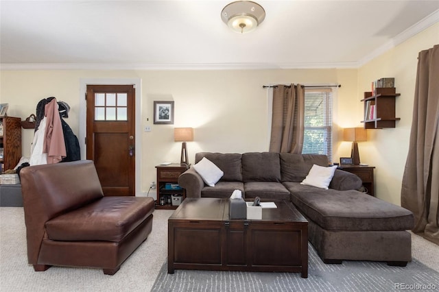 living area featuring carpet flooring, crown molding, and plenty of natural light