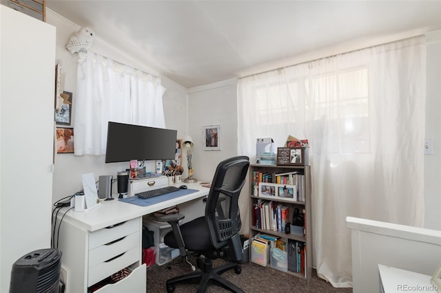 office featuring carpet floors and healthy amount of natural light