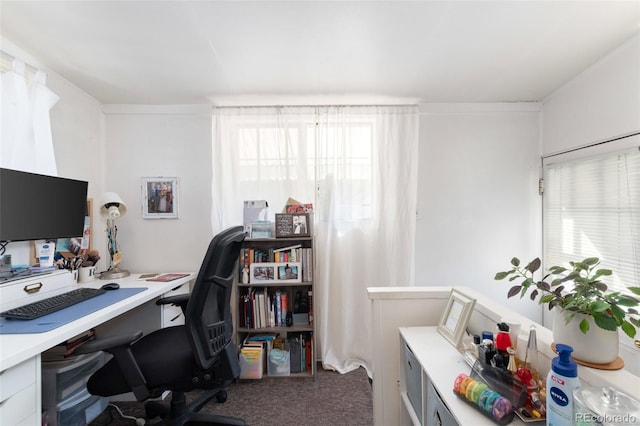 office area featuring carpet and healthy amount of natural light