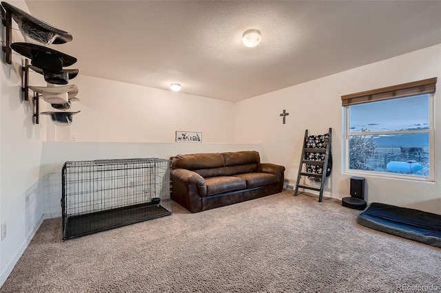 carpeted living room with a textured ceiling