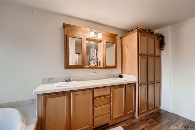 bathroom with wood-type flooring and vanity