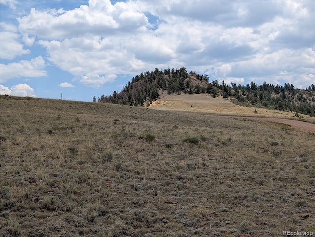 Coyotero Trl, Hartsel, CO 80449 - photo 3