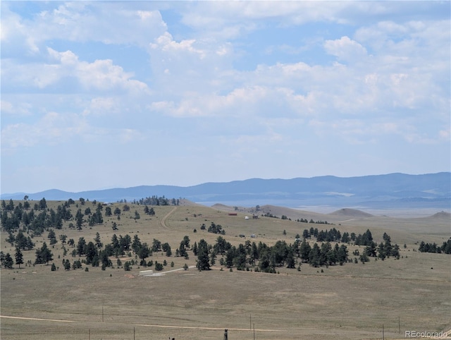 Coyotero Trl, Hartsel, CO 80449 - photo 11