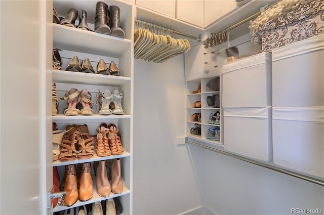 3030 Wilson Ct Unit 5, Denver, CO 80205 - view of walk in closet