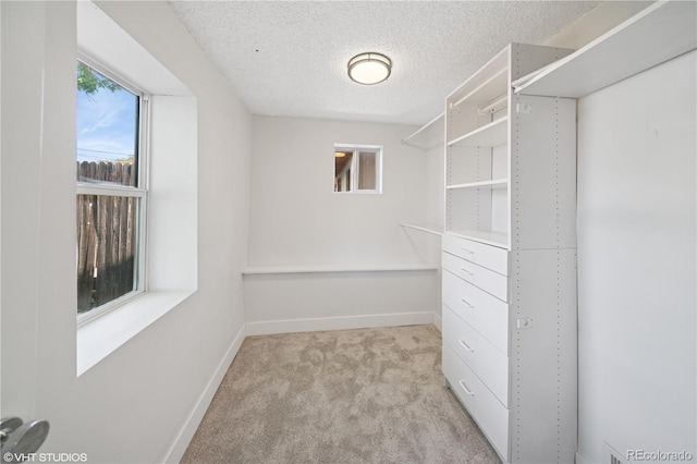 3817 Osage St, Denver, CO 80211 - walk in closet with light colored carpet
