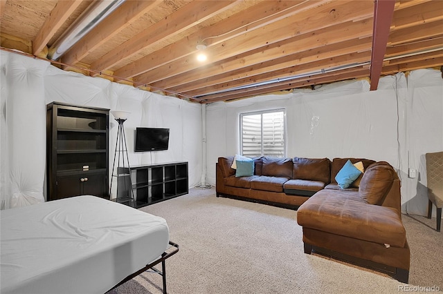 living area featuring carpet floors